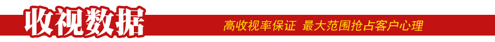 广东电视台各频道收视率数据分析