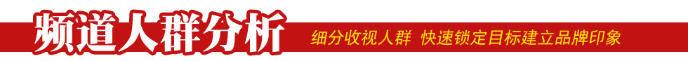 广东电视台各频道收视人群数据分析